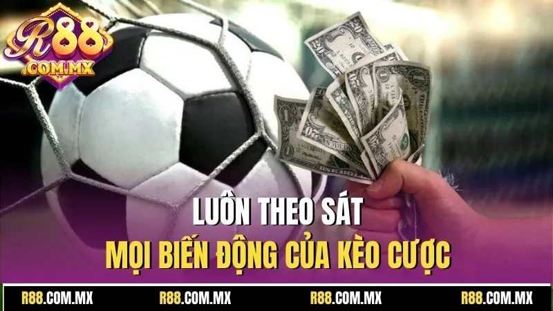 Chấp Đồng Nửa : Tổng Hợp Kiến Thức Trước Khi Đầu Tư 4 Luôn theo sát mọi biến động của kèo cược